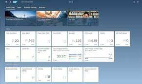 SAP B1 Version 10 Web Client